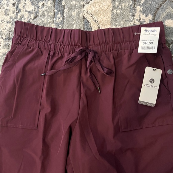 Apana Burgundy Pants - Picture 2 of 6